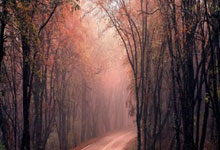 开云体育-绿茵双星夜，拉齐奥险胜的坚韧与内马尔西决的王者时刻